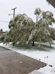 Much Ado about (early) Winter Image